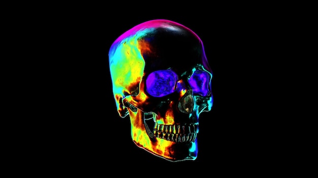 Metallic Human Skull with rainbow reflections looped animation