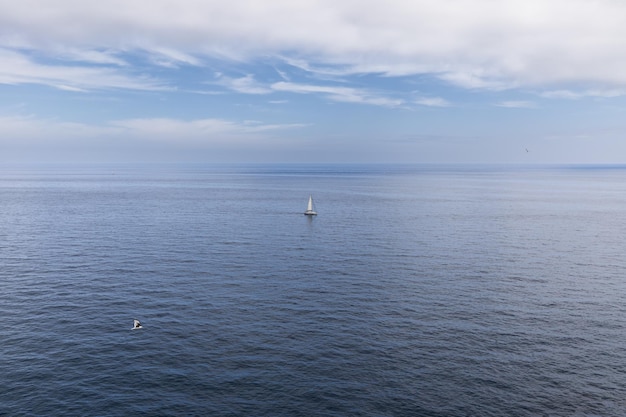 Metaphor for solitude loneliness and purity white yacht with white sail silver gull