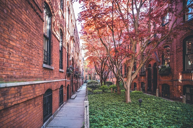 Mews in Brooklyn. Rows or courtyard of apartment buildings with lawn and trees in the middle