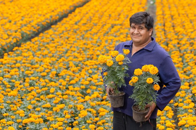 Mexican cempasuchil flower producer showing the flowers in Xochimilco Mexico City