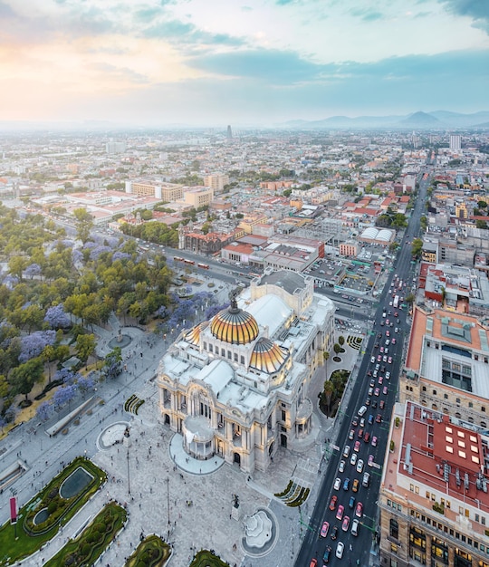 Mexico city aerial view from Torre Latinoamericana