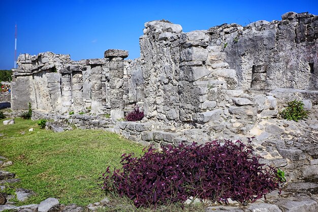 mexico pyramids mayan ancient city, landscape pre-columbian america chicenica maya