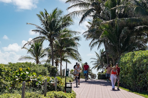 MIAMI, USA - FEBRUARY 2, 2017 - people relaxing in miami beach promenade waterfront