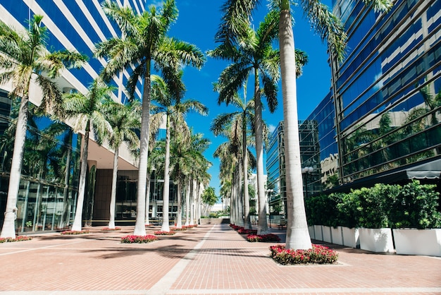 Photo miami, usa - march 31, 2020 empty streets of miami downtown.