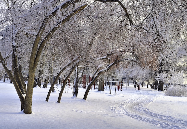 Michael's embankment in winter. Tree branches overhang the path covered with snow drifts