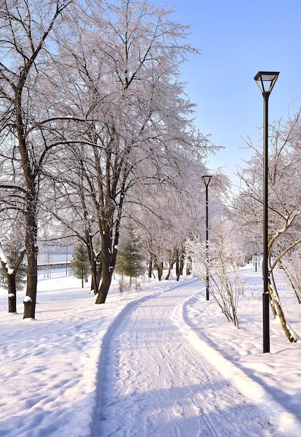 Michael's waterfront in winter. Pedestrian path in the snow, street lights against the blue sky