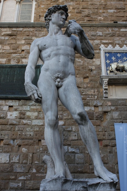 Michelangelo's David of Florence - street statue