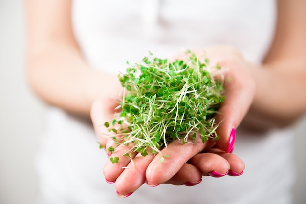 Micro-green healthy food and greens grass. Sprouting Microgreens.