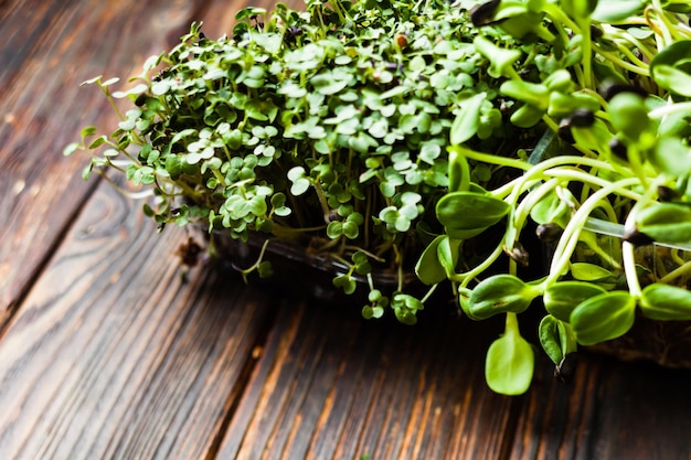 Micro greens variety in boxes on wooden table close up for healthy cooking