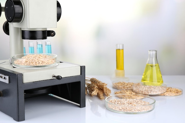 Microbiological testing for food quality at biochemistry laboratory