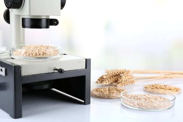 Microbiological testing for food quality at biochemistry laboratory