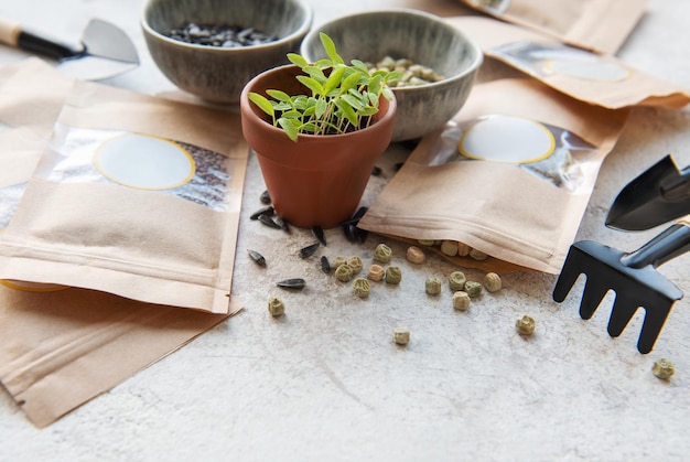 Microgreen seeds in paper bags and equipment for sowing microgreens