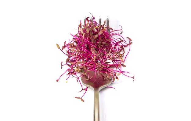 Microgreens amaranth isolate on a white background. Selective focus. Food.