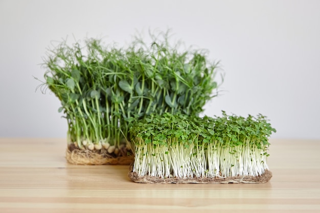 Microgreens arugula and pea shoots on wooden table