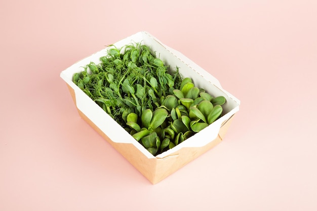 Microgreens in a disposable eco paper box of sunflower seeds idea for a healthy vegan food delivery