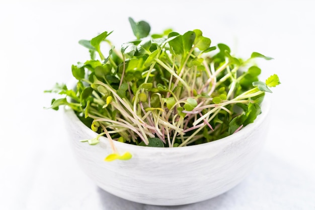 Microgreens