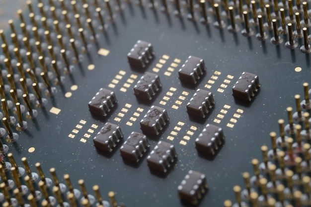 The microprocessor from the computer lies with its paws up closeup