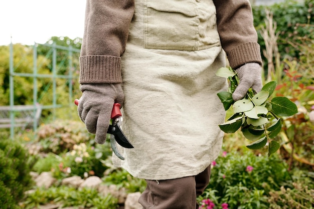 Mid section of female gardener in apron and gloves holding bunch of leaves