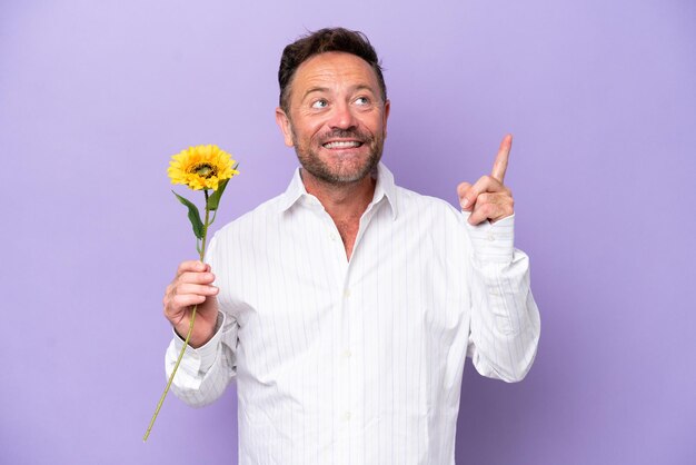 Middle age caucasian man holding sun flower isolated on purple background pointing up a great idea