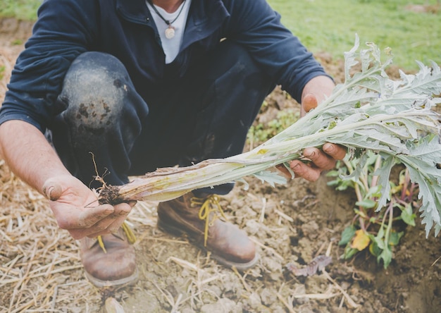 Photo midsection of man holding plants on field