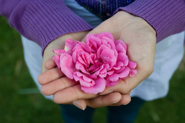 Photo midsection of woman holding flower while standing at field