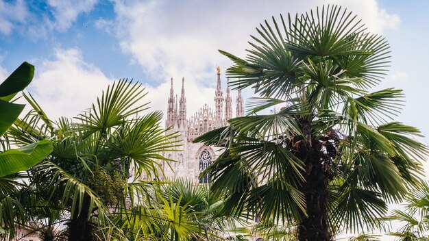 Milan Duomo cathedral with palm and banana trees in the foreground