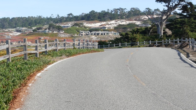 Mile drive scenic road monterey california ocean waves succulent plants