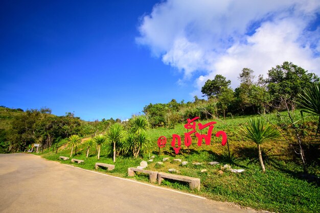 Milestone on Phu Chi Fa chiangrai Thailand