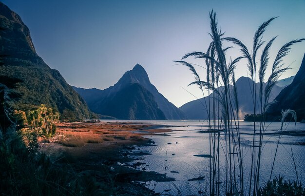 Milford Sound at dawn