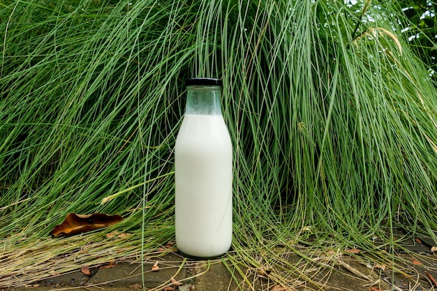 Milk Bottle Mockup with Natural Background