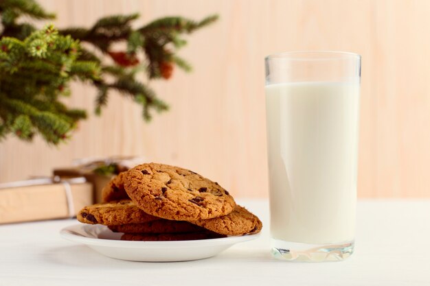 Milk and cookies for Santa Claus under the christmas tree