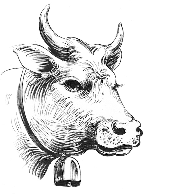 Milk cow head. Ink black and white drawing