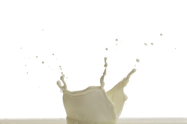 Milk splash droplet isolated on  white background