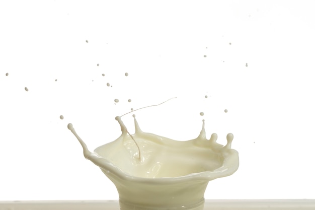 Milk splash droplet isolated on  white background