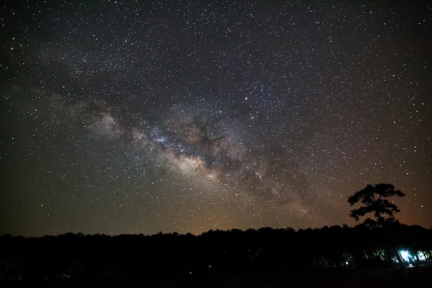 Milky Way Galaxy and Silhouette of Tree with cloudLong exposure photographWith grain