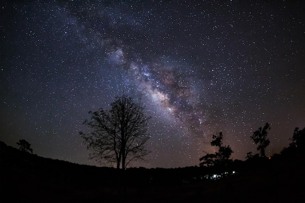 Milky Way Galaxy and Silhouette of Tree with cloudLong exposure photographWith grain