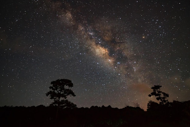 Milky Way Galaxy and Silhouette of Tree with cloudLong exposure photographWith grain