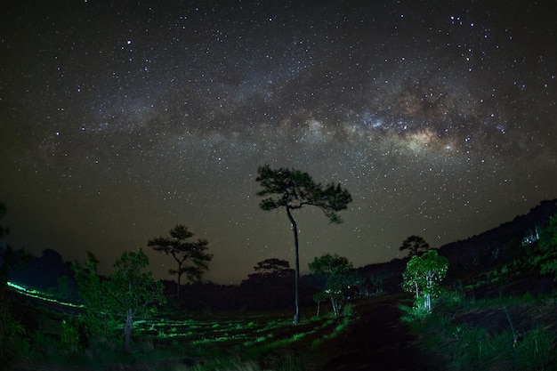 Milky Way at Phu Hin Rong Kla National ParkPhitsanulok ThailandLong exposure photographwith grain