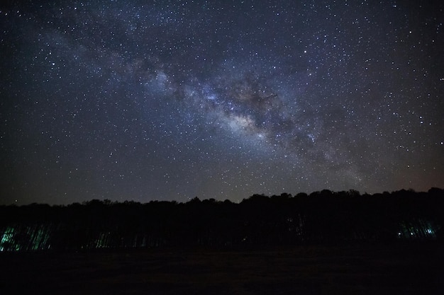 Milky Way and silhouette of tree at Phu Hin Rong Kla National ParkPhitsanulok Thailand Long exposure photographwith grain