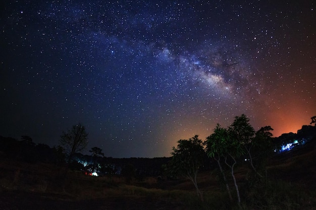 Milky Way and silhouette of tree at Phu Hin Rong Kla National ParkPhitsanulok Thailand