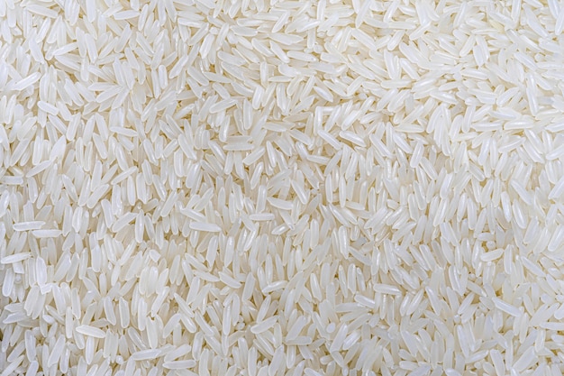 Milled rice background