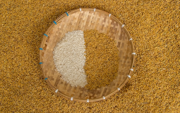 milled rice and  unmilled rice background