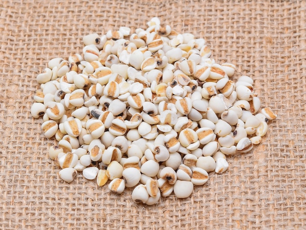 Millet rice , millet grains