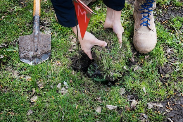 Miner digs a mine. Demining of the territory. the guys digs a mine on a minefield. service in army. hazardous work. digging the ground with a sapper shovel. bury mine close up. Anti-personnel mine