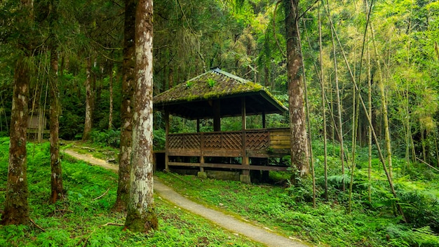 Mingchi with forests mountains and lakes in Yilan County Taiwan pavilions for resting in the forest