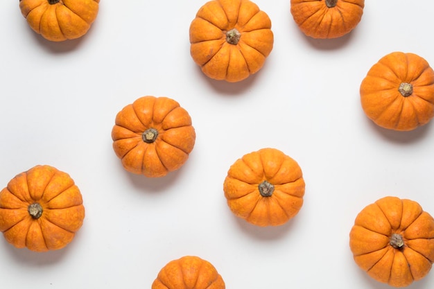 Mini munchkin pumpkin festive background