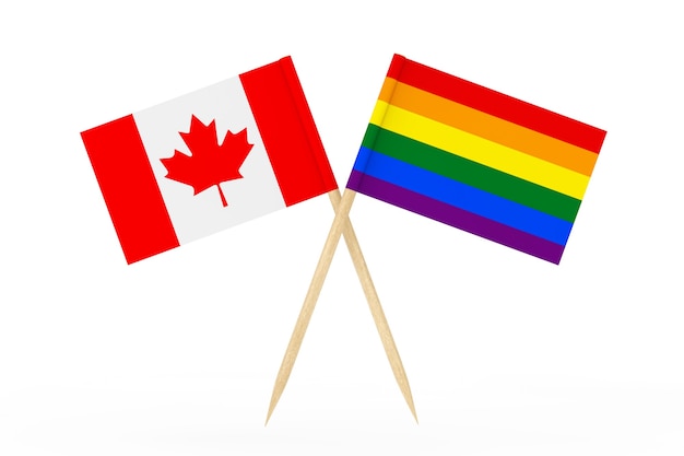 Mini Paper LGBT Rainbow Pointer Flag with Canadian Flag on a white background. 3d Rendering