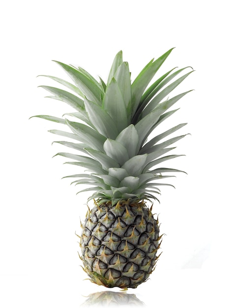 Mini pineapple isolated on white