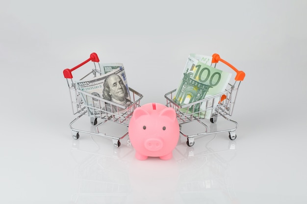 Mini shopping carts with dollar and euro, piggy money box