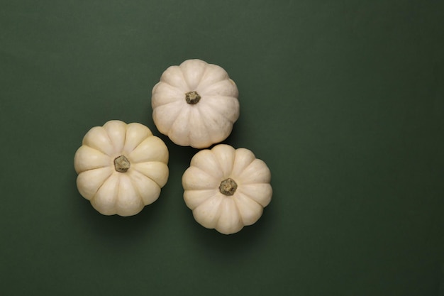 Mini white pumpkins on a green background